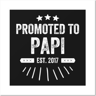 Promoted to Papi 2017 Posters and Art